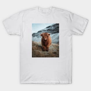 Highland Cattle T-Shirt